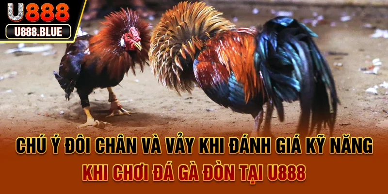 Đá Gà Đòn Tại U888 - Cuộc Đối Đầu Bản Lĩnh Và Chiến Thuật