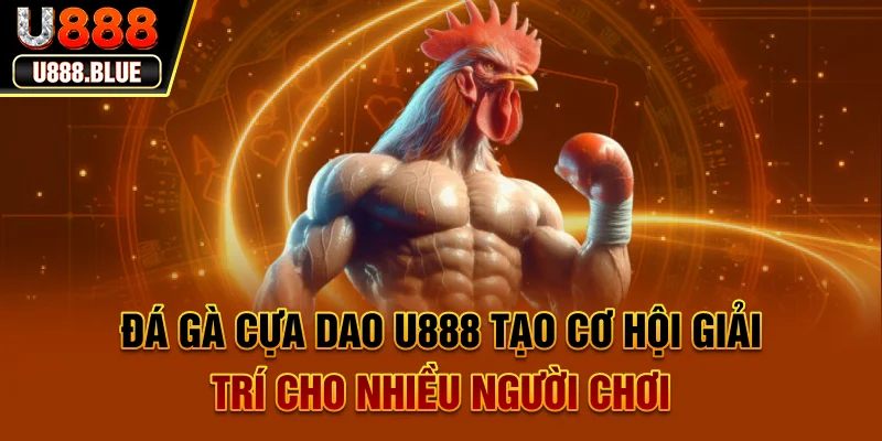 Đá gà cựa dao U888 tạo cơ hội giải trí cho nhiều người chơi Đá gà cựa dao U888 tạo cơ hội giải trí cho nhiều người chơi